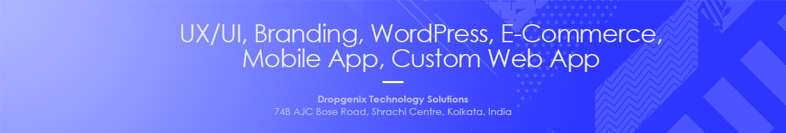 Dropgenix Technology Solutions Web Design (UI/UX) India