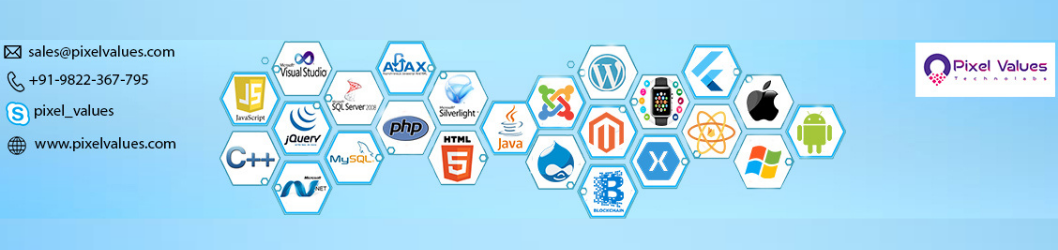 Pixel Values Technolabs Software Development India