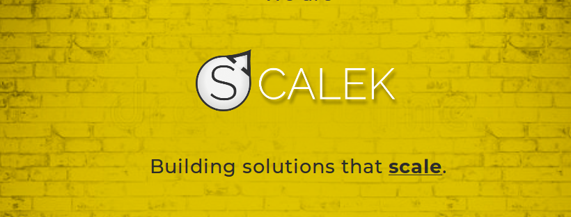 Scalek Web Design (UI/UX) Moldova