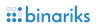 Binariks Logo