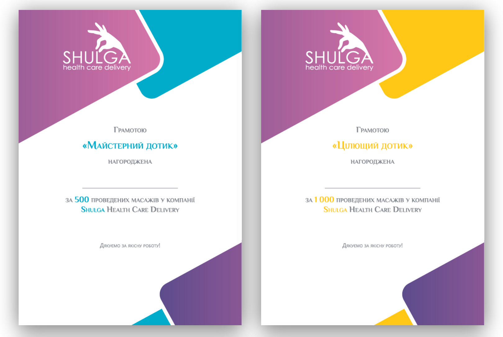 Shulga health care delivery Project