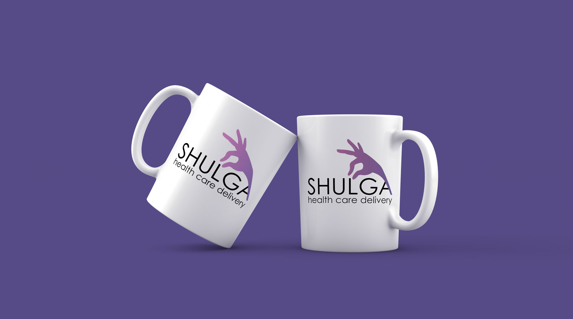 Shulga health care delivery Project