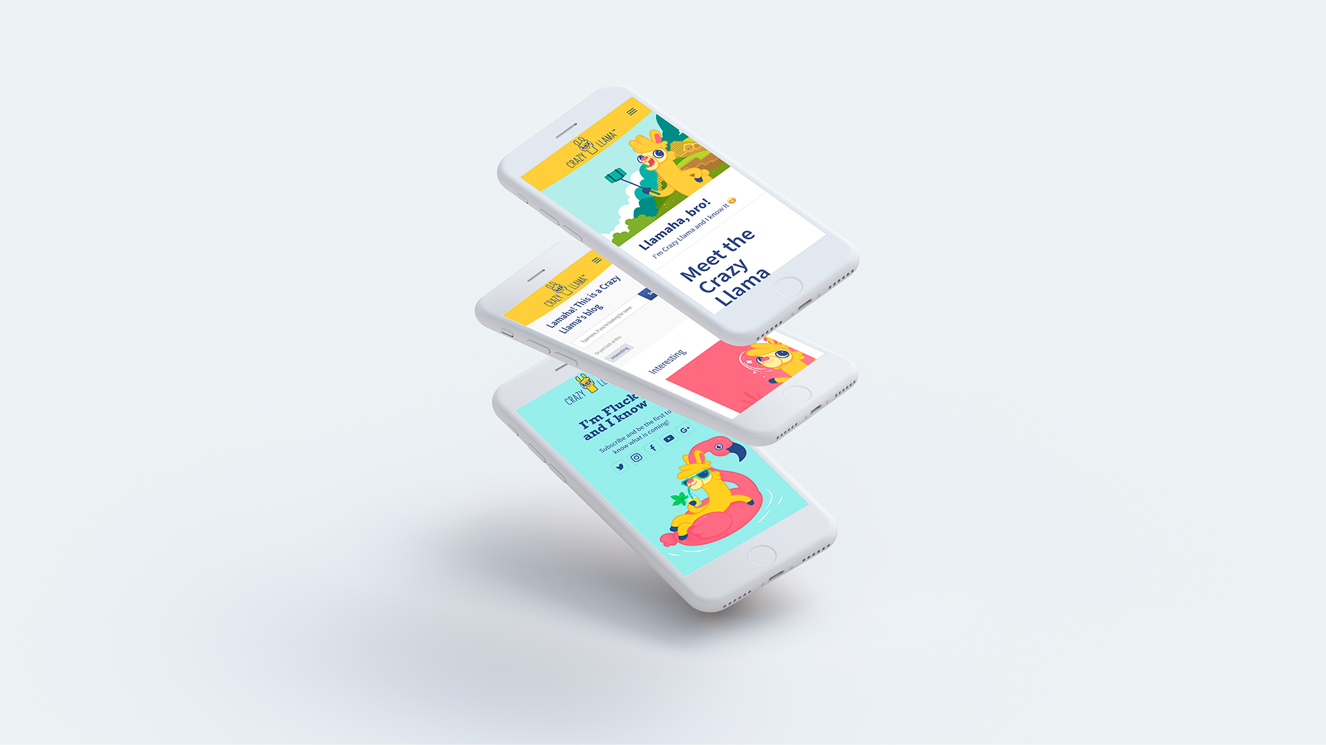 Crazy Llama Booking platform Front-end UI/UX Design Project